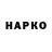 APVP VHQ Julija kaminskaite