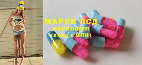 стаф Абинск